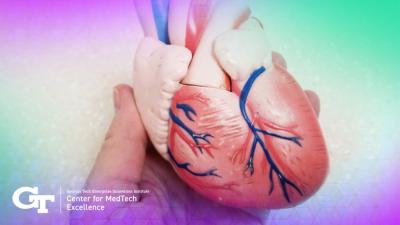 image of a model of the human heart